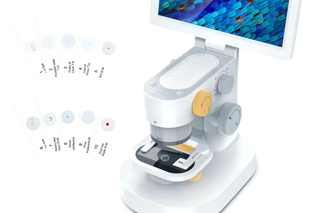 digital microscope with display