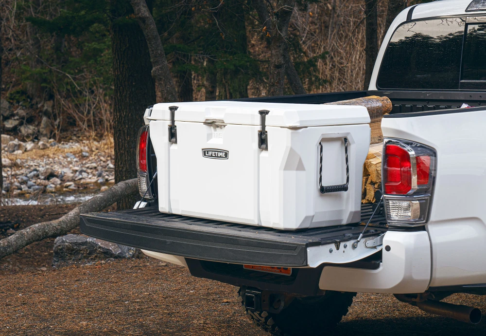 best ice cooler box