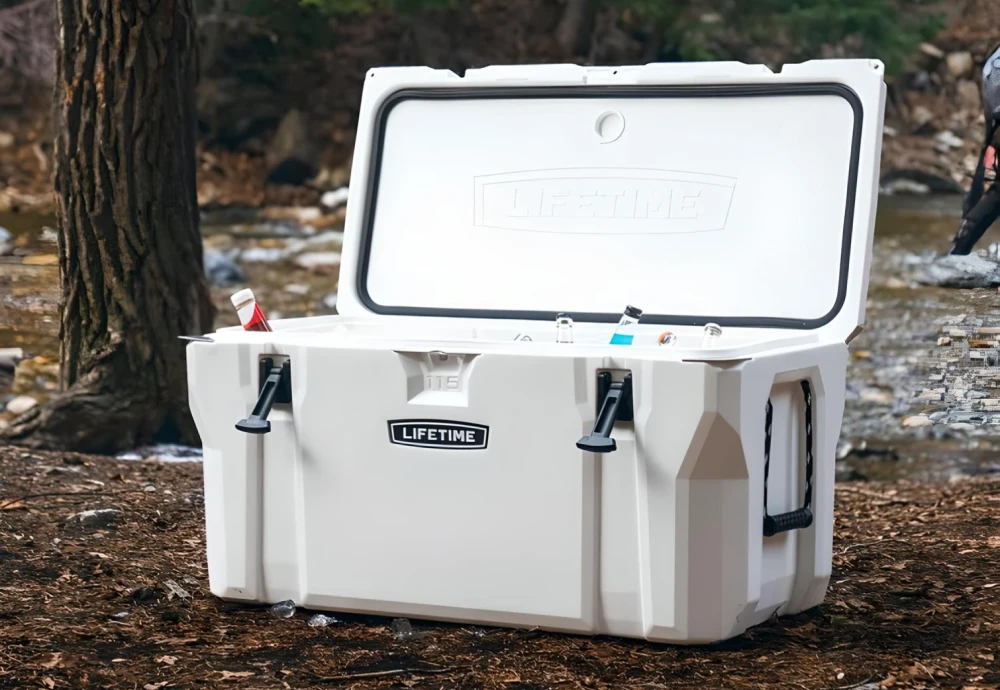 car ice chest cooler