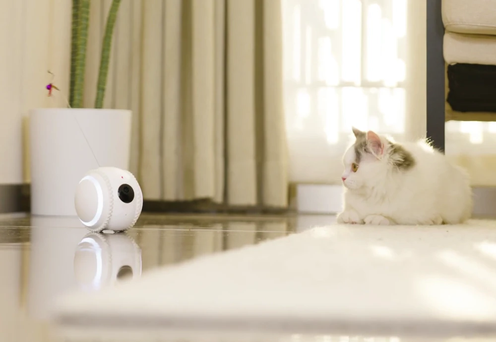 best pet cameras for cats