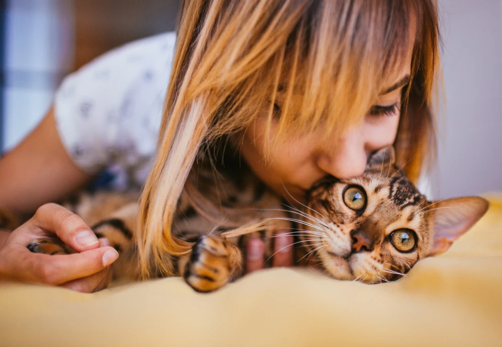 camera to watch pets while away