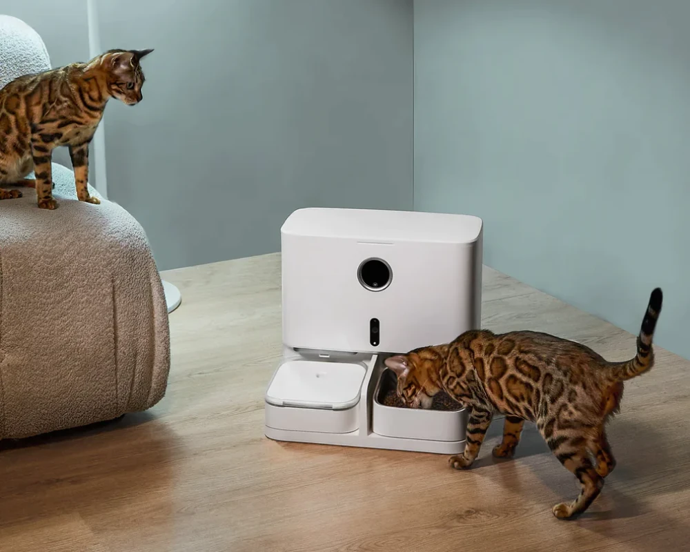 cat automatic pet feeder