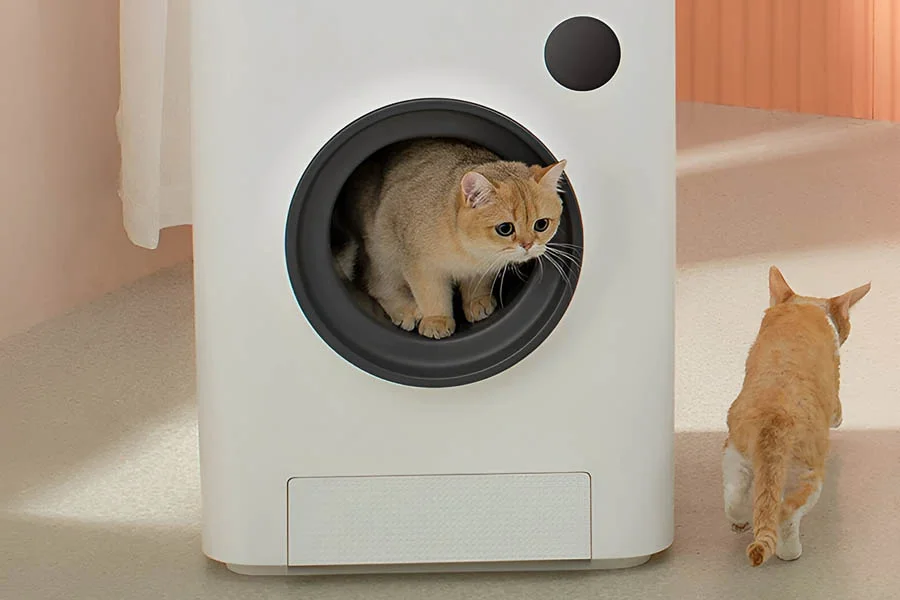 self cleaning cat litter boxes for multiple cats