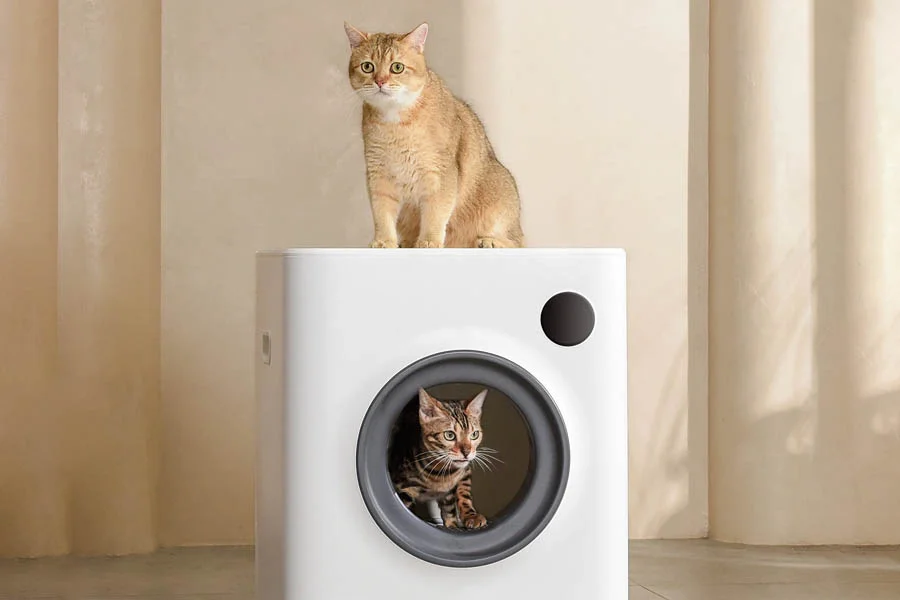 automatic catbox