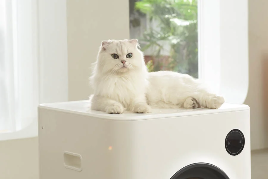 the best cat litter box